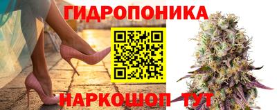 мяу мяу мука Лесосибирск