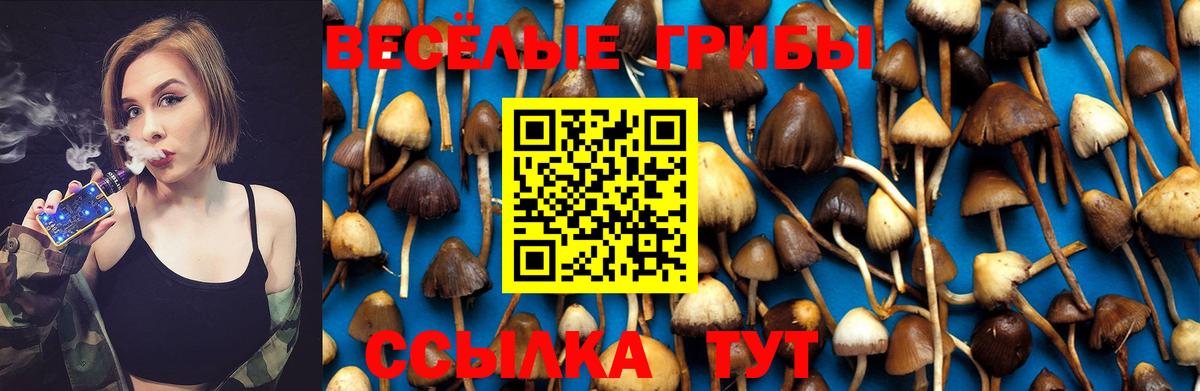Псилоцибиновые грибы ЛСД Джанкой